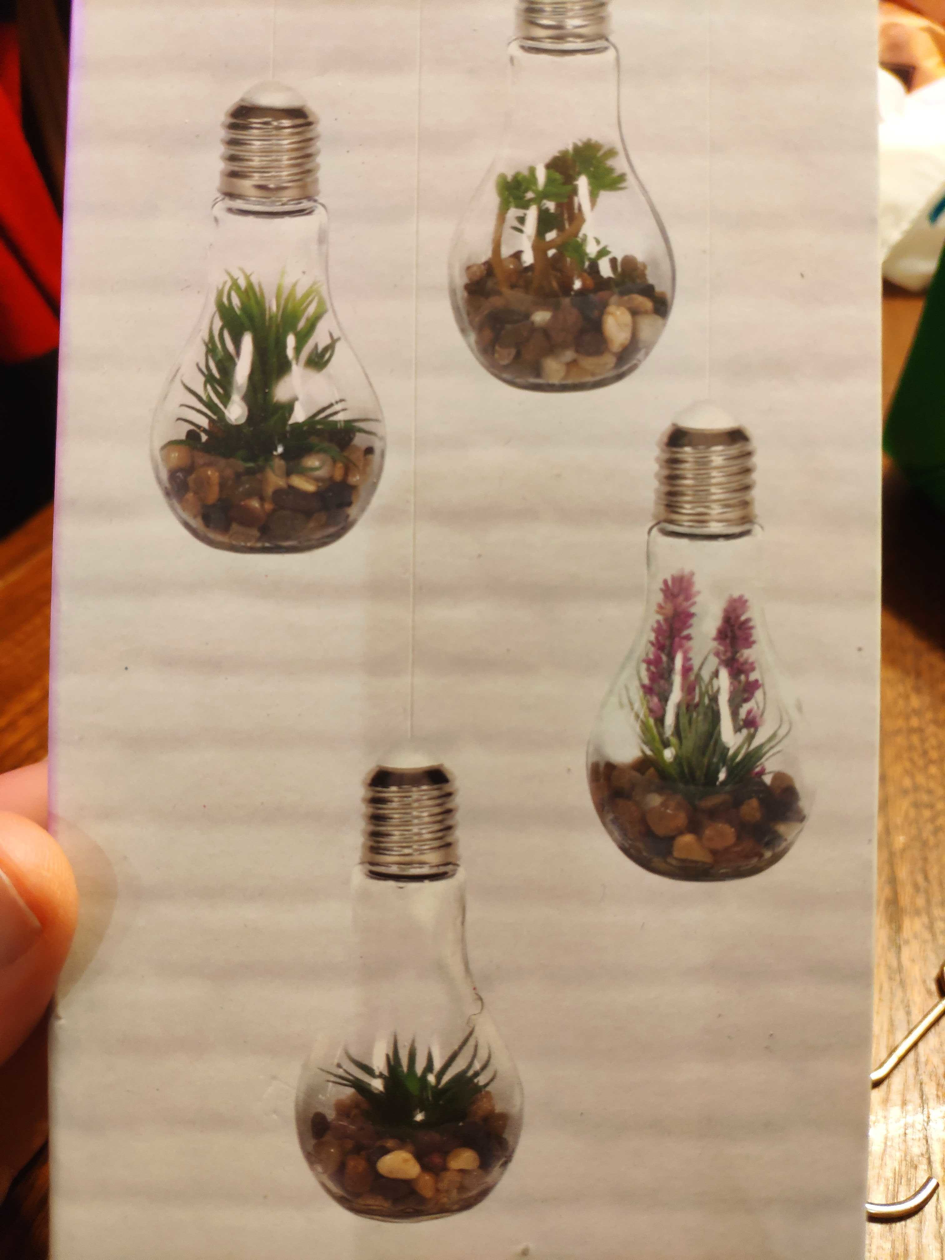 [Dollarama] Lightbulb Shaped Hanging Light Up Terrarium 4
