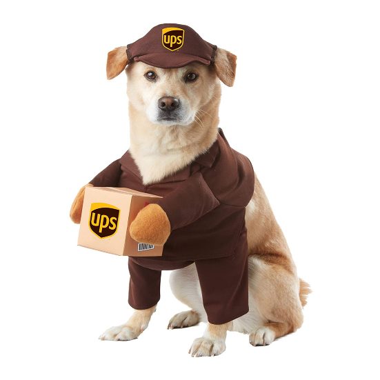 8. Best Pet Costume: California Costume Collections Brown UPS Dog Costume