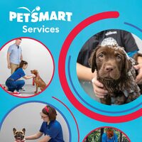 PetSmart - Services Flyer
