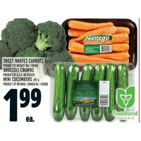 Sweet Nantes Carrots, Broccoli Crowns, Mini Cucumbers 
