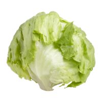 Celery Or Iceberg Lettuce