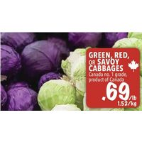 Green, Red or Savoy Cabbages