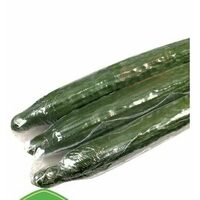 English Seedless Cucumbers 
