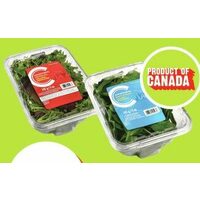 Compliments Baby Arugula, Spinach or Spring Mix