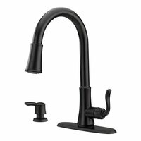 Pfister Cagney Pull-Down Kitchen Faucet 