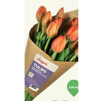 Longo's Premium Local Tulips 