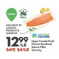 Upper Canada Fresh Ontario Steelhead Salmon Fillet