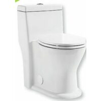 Project Source Runfine 1-Piece Dual Flush Round Toilet