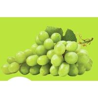 Green Seedless Grapes 