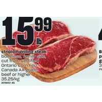 Striploin Grilling Steak Beef