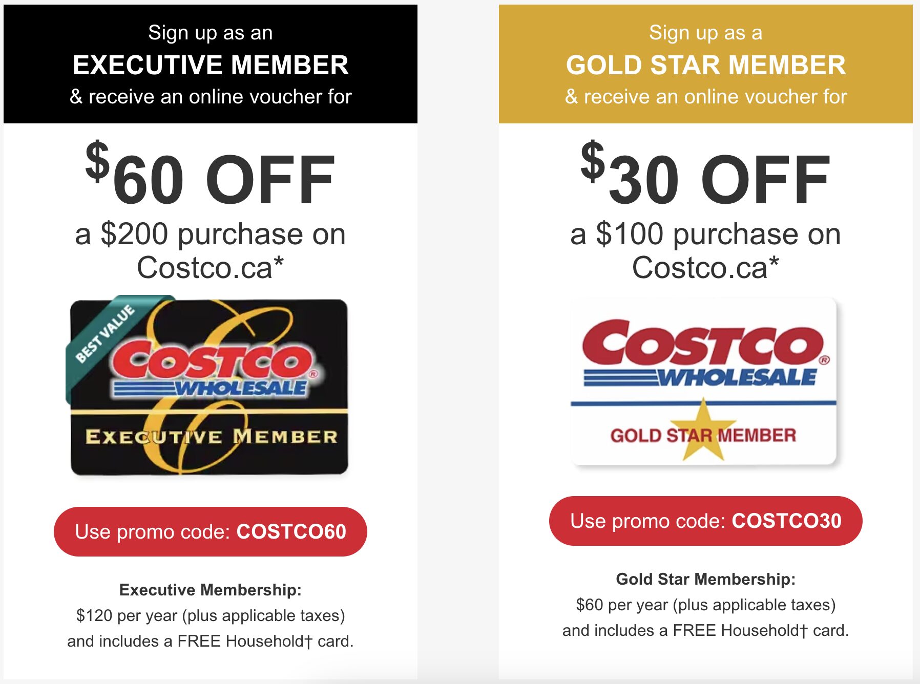 What Credit Cards Does Costco Accept? – Forbes Advisor Canada