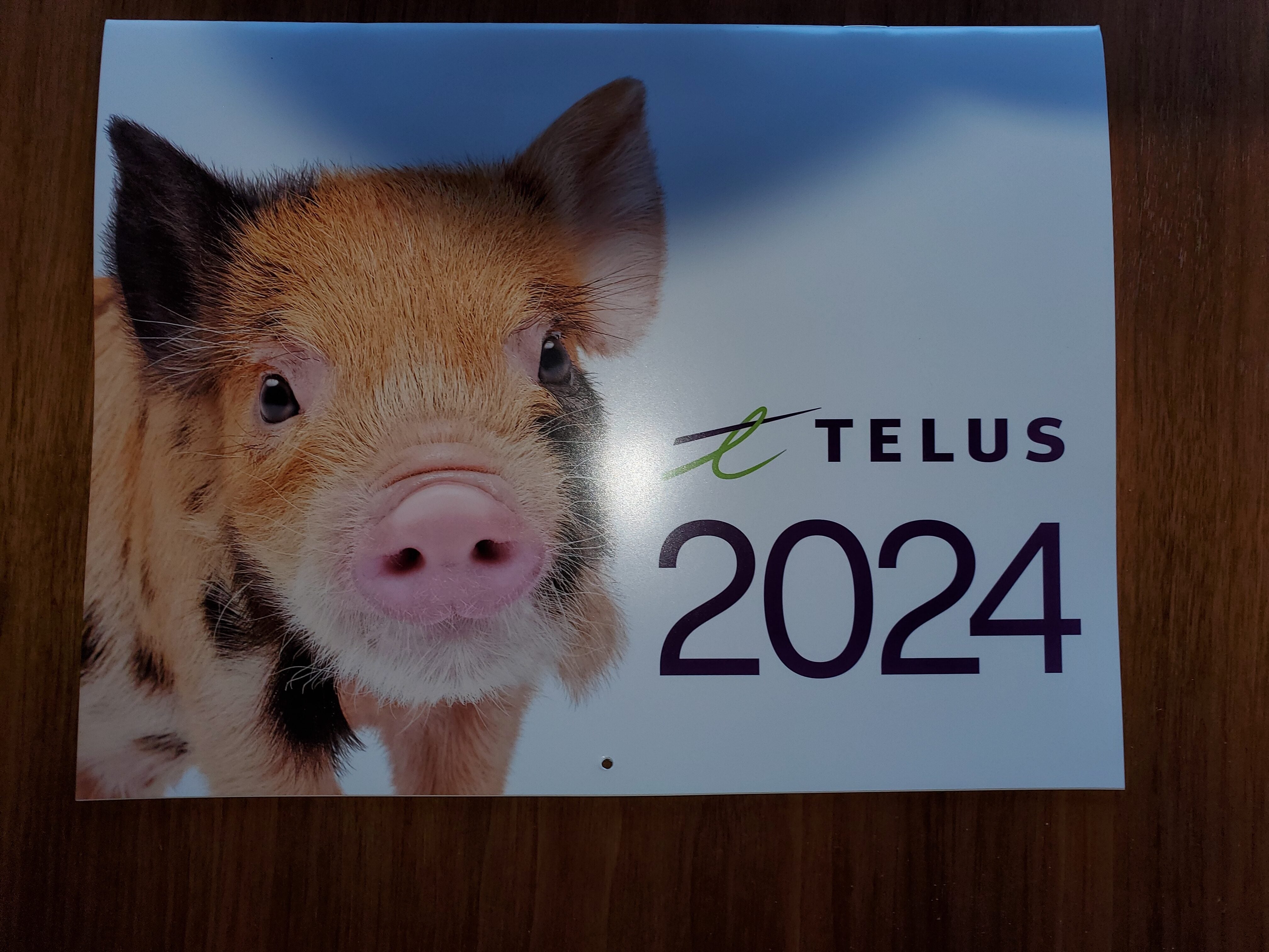 [Telus] 2024 Calendars are free for Telus Customers and limited to one