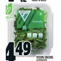 Vision Greens Lettuces