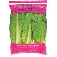 Romaine Hearts or Local Strawberries
