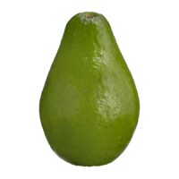 Atemoya, Breadfruit, Caribbean Avocadoes or Green Water Coconuts