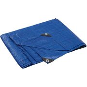 GENERIC 10' x 12' Light Duty Blue Poly Tarp - $4.97 (Reg. $13.49)