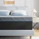 $130 Queen Memory Foam Mattress 10"