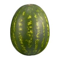 Seedless Watermelon