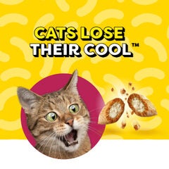 FREE Temptations Lickable Spoons 40g FS