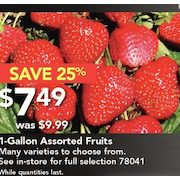 1-Gallon Assorted Fruits  - $7.49 (25% off)