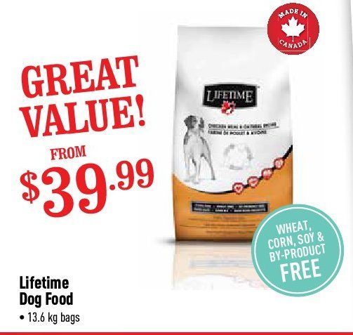 lifetime dog food