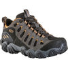 Oboz Sawtooth Low Bdry Light Trail Shoes - Men's - $110.00 ($59.00 Off)