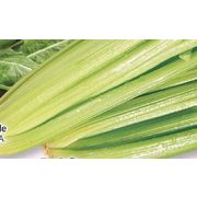 Celery Stalks - $4.49