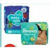 Pampers Jumbo Diapers or Training Pants - $12.99