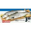 Fresh Whole Atlantic Salmon - $3.99/lb