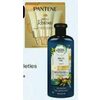 Pantene or Herbal Essences Bio: Renew Hair Care - $5.99
